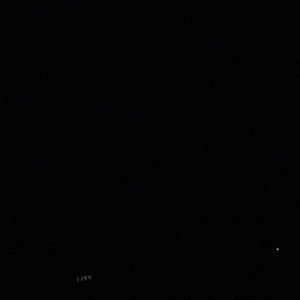 Meet your Posher, Arlene